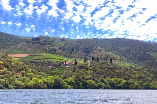 Douro Walking Tour