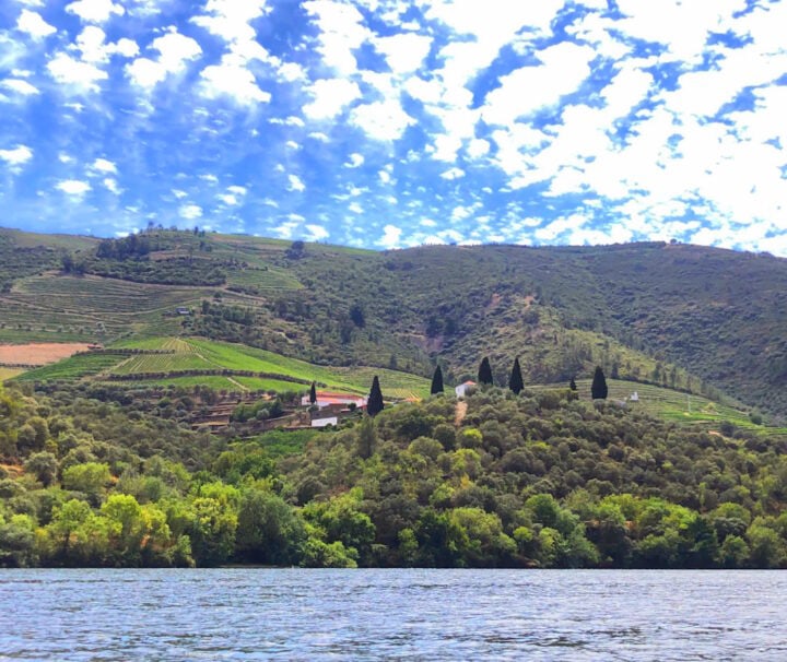 Douro Walking Tour