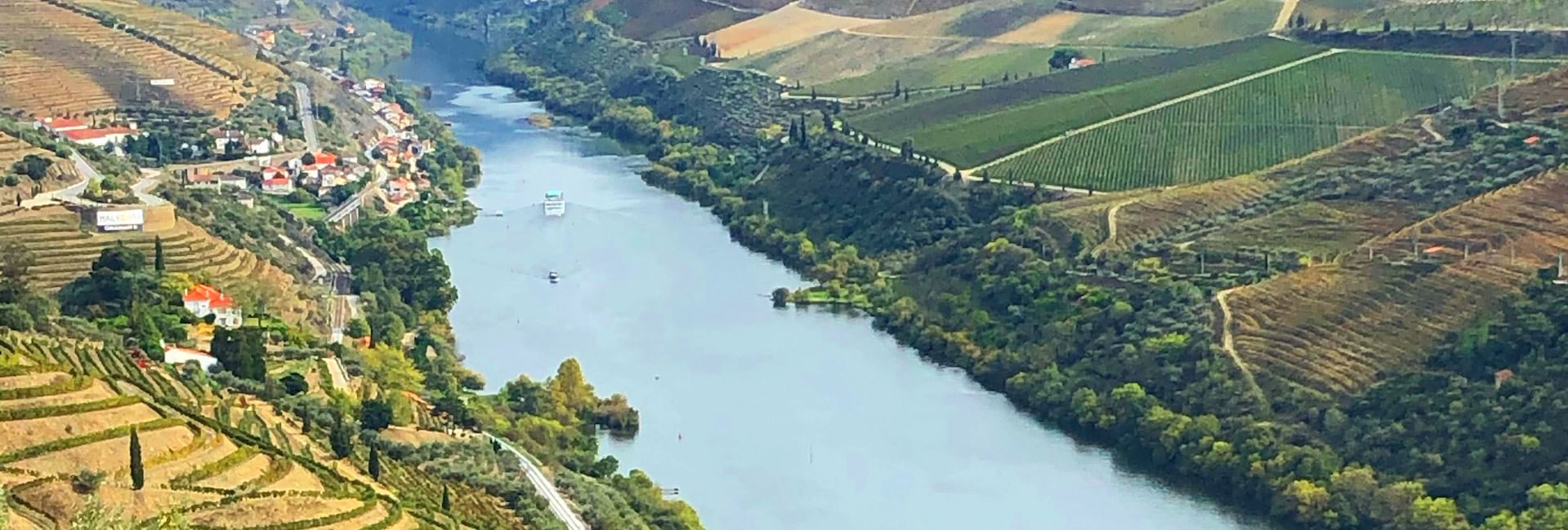 DVW Vista Douro V opcao cabecalho 2025