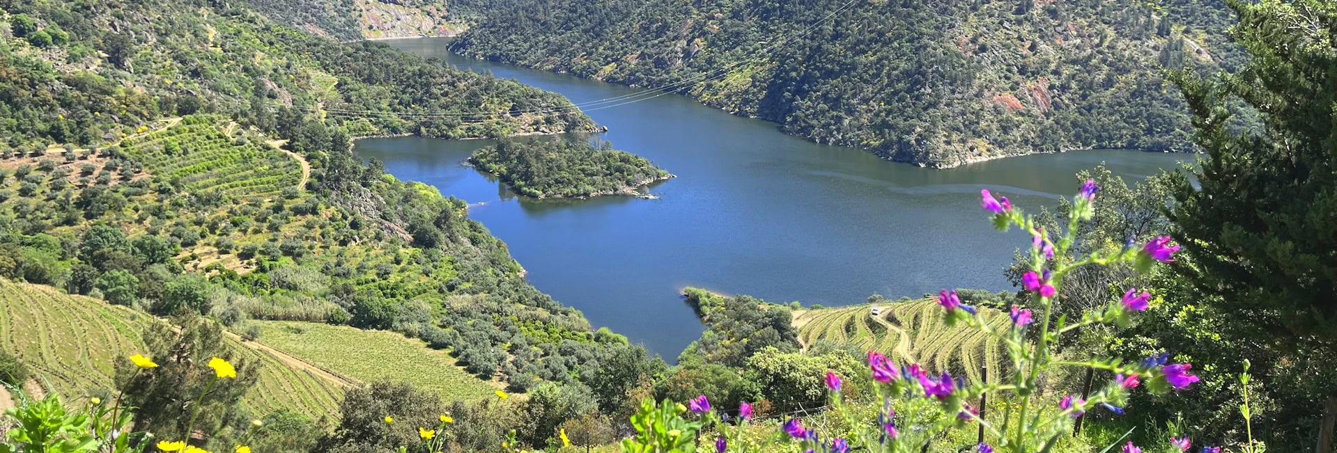 DVW Vista Douro opcao cabecalho 2025